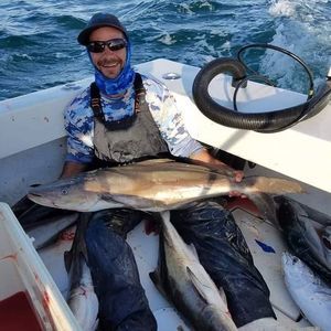 Meet your Posher, Jeramie